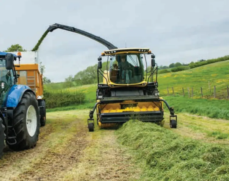 New Holland 300 FP STD Paddles