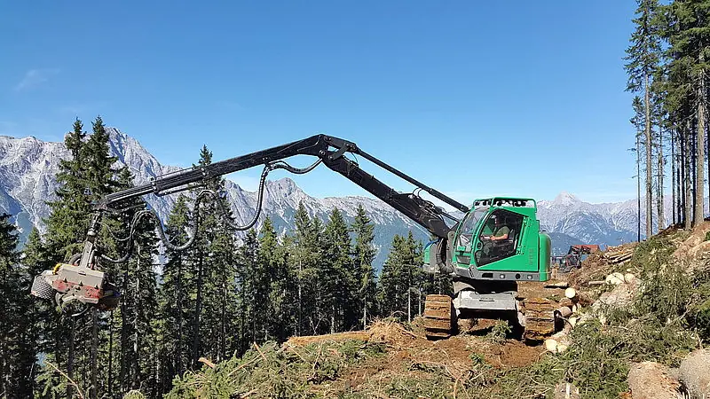 Neuson Forest 243HV