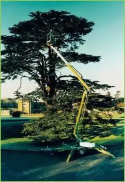 Niftylift NL 170 thumbnail 2