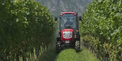 McCormick X4.50V thumbnail 4