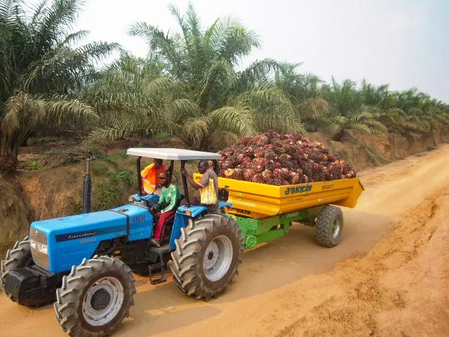 Joskin TRANS-PALM 5000/7C65 thumbnail 2