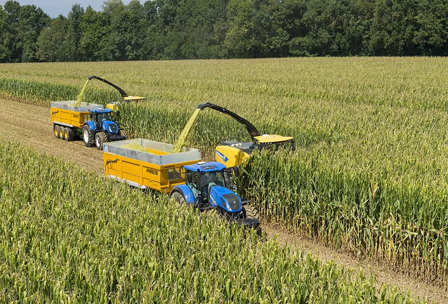 New Holland FR 650 thumbnail 6