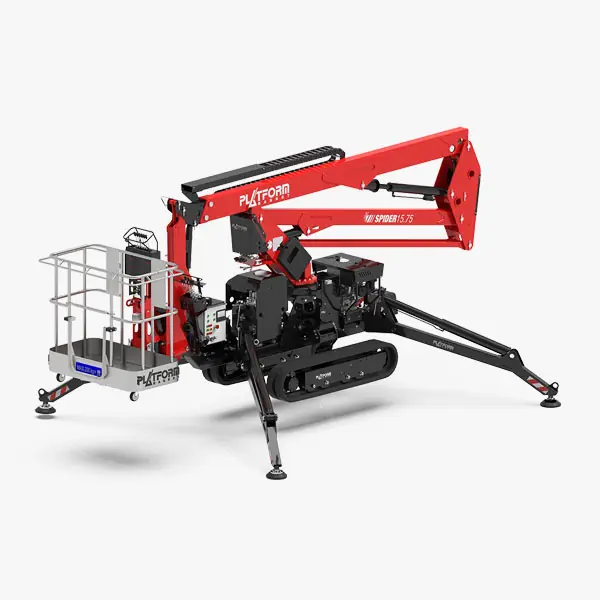 Basket Spider 15.75