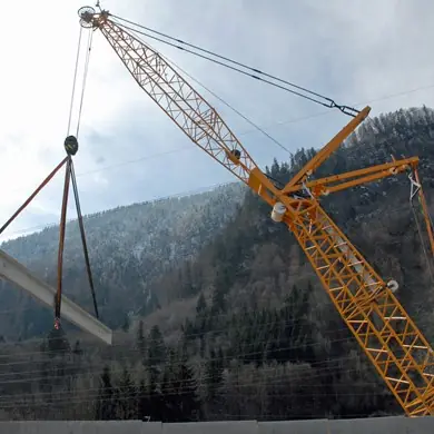 Liebherr LR 1250