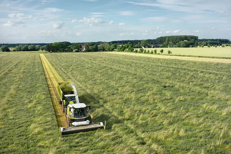 Claas Jaguar 930 thumbnail 4