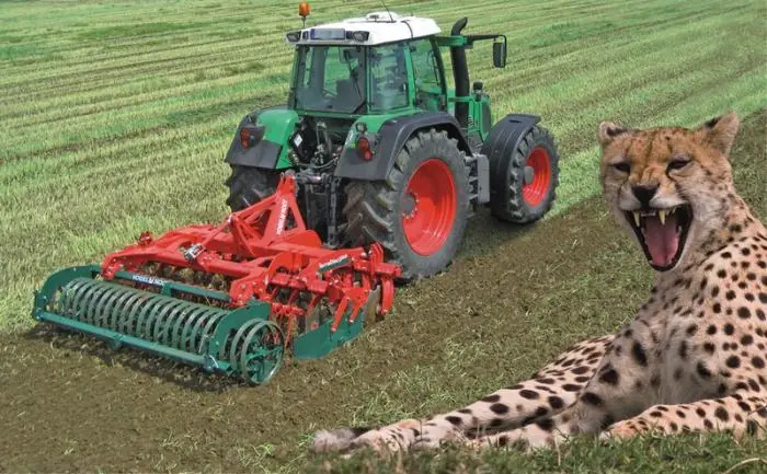 Vogel & Noot TerraDisc pro 300 thumbnail 9