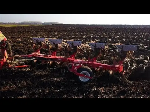 Maschio Unico XL 5+1 STD