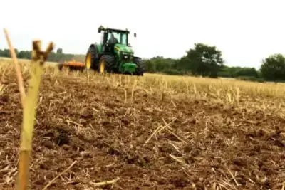 Agrisem Disc-O-Mulch Gold 4.50 thumbnail 3