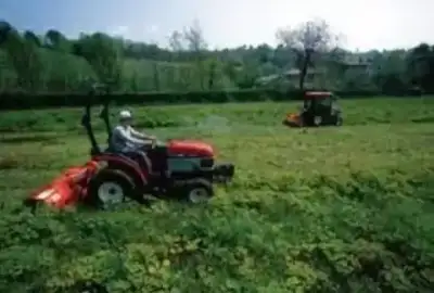 Yanmar EF 230M