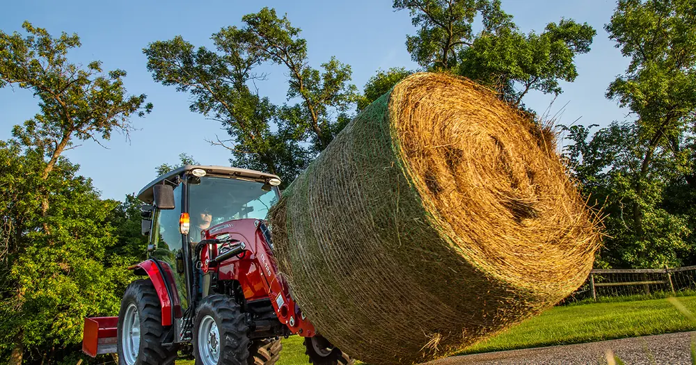 Massey Ferguson MF 1765 M MP thumbnail 6