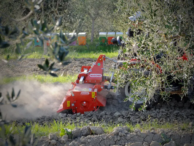 Maschio W 125 thumbnail 3