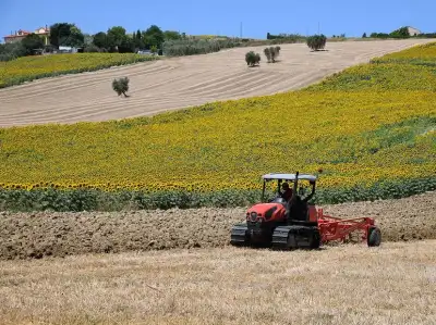 DEUTZ-FAHR C 7205 Farmline thumbnail 3