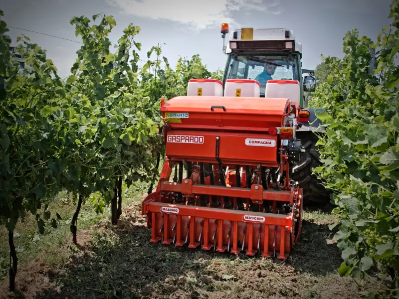 Maschio Delfino 1500 thumbnail 2