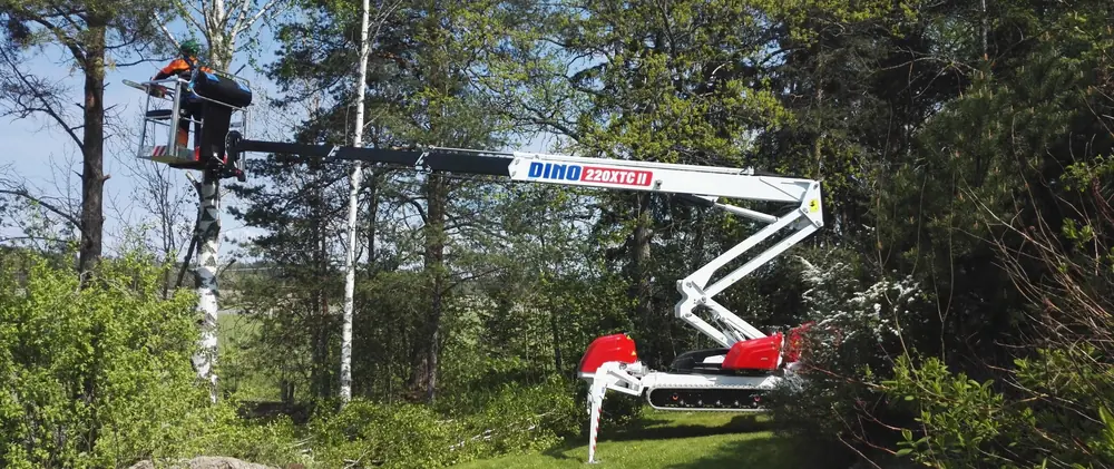 Dino Lift Dino 220 XTC II thumbnail 6
