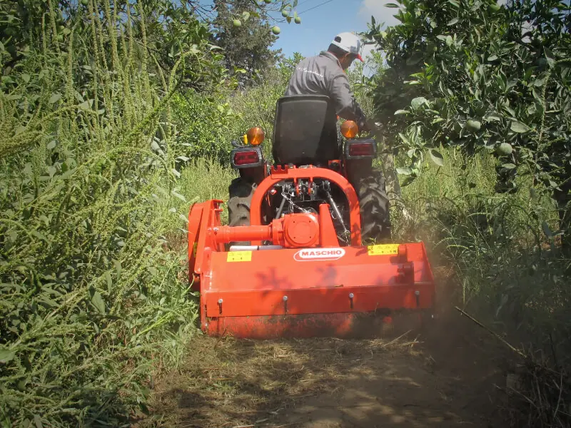 Maschio Furba 160 thumbnail 3
