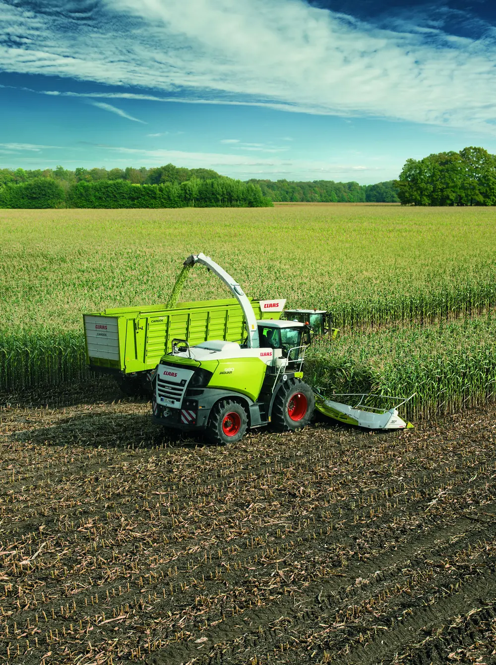 Claas Jaguar 980 thumbnail 4