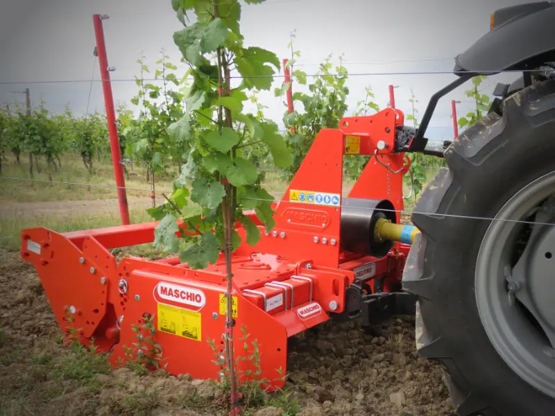 Maschio Delfino 1800