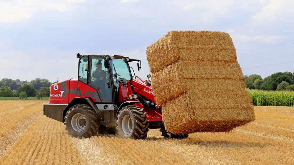 Schäffer 8620 T-2 thumbnail 4