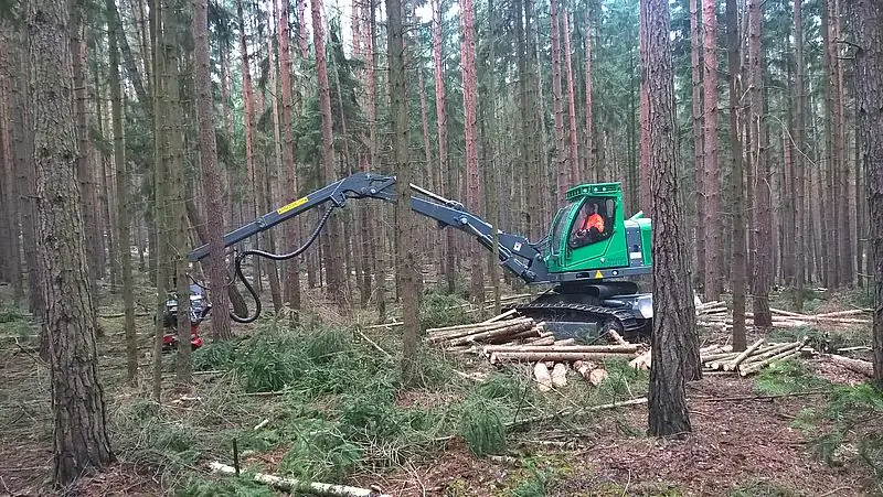 Neuson Forest 103HVT thumbnail 4
